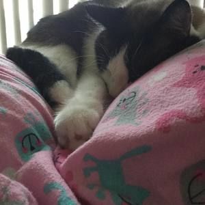 Meet your Posher, Maya